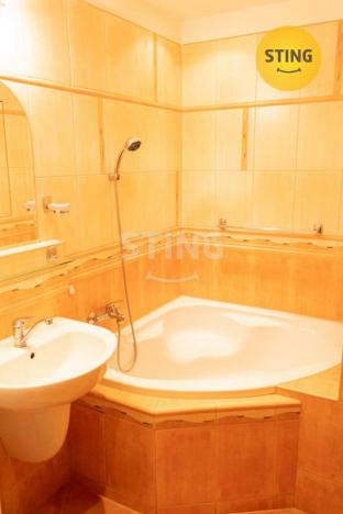 Pronájem bytu 1+1, Karviná, tř. 17. listopadu, 36 m2