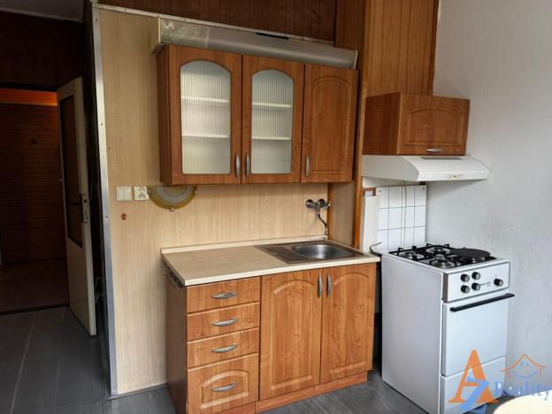 Pronájem bytu 1+1, Chomutov, Dřínovská, 42 m2