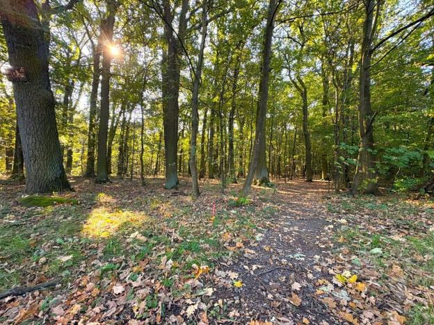 Prodej pozemku pro bydlení, Praha - Klánovice, V trninách, 875 m2