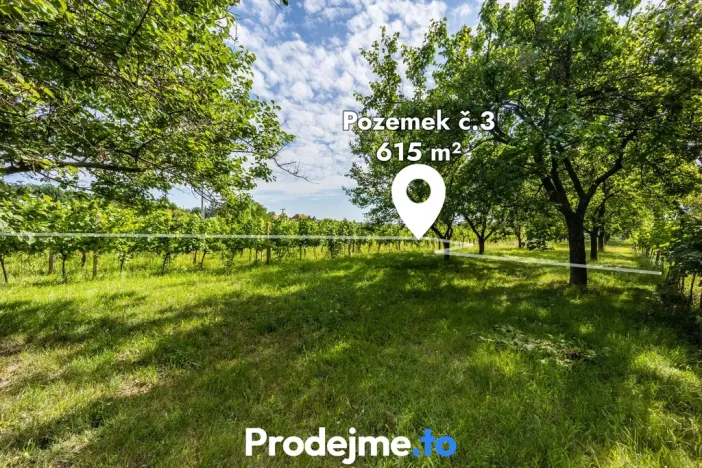 Prodej rodinného domu, Nový Šaldorf-Sedlešovice, 35 m2