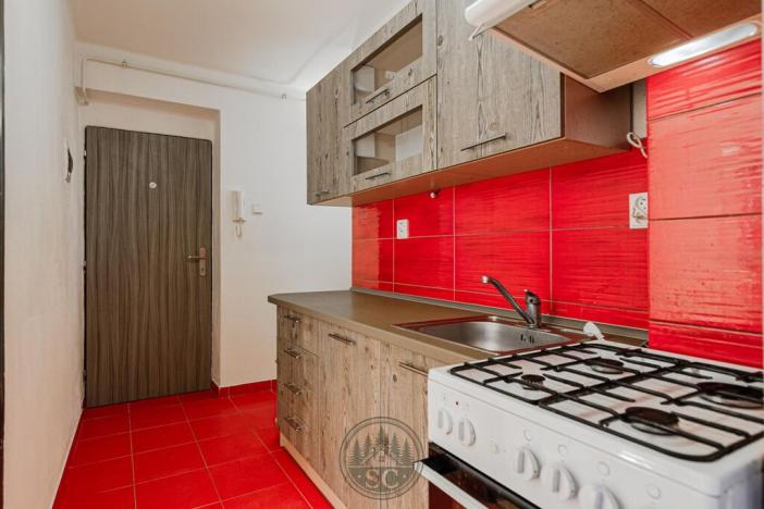 Pronájem bytu 3+kk, Březová, Hlavní, 56 m2