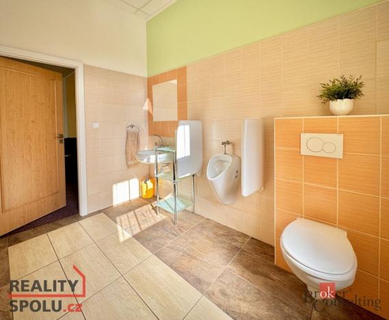 Pronájem bytu 3+kk, Frýdek-Místek - Místek, Havlíčkova, 110 m2