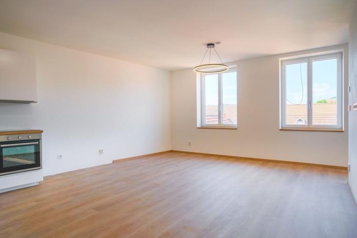 Pronájem bytu 1+kk, Silůvky, Anenská, 40 m2
