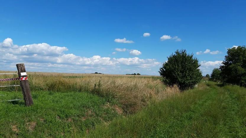 Prodej pozemku pro bydlení, Líšnice, 5077 m2