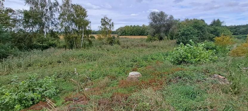 Prodej zahrady, Borek, 3737 m2