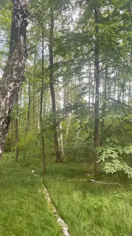 Prodej louky, Chlum u Třeboně - Žíteč, 389696 m2