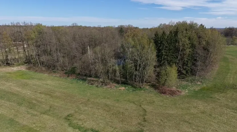 Prodej lesa, Chlum u Třeboně - Žíteč, 389696 m2