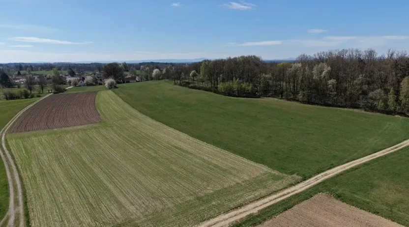 Prodej lesa, Chlum u Třeboně - Žíteč, 389696 m2