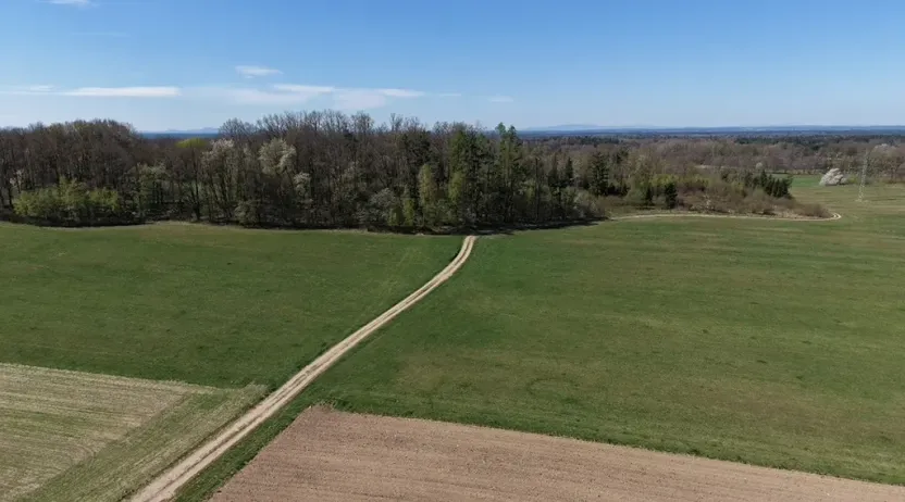 Prodej lesa, Chlum u Třeboně - Žíteč, 389696 m2