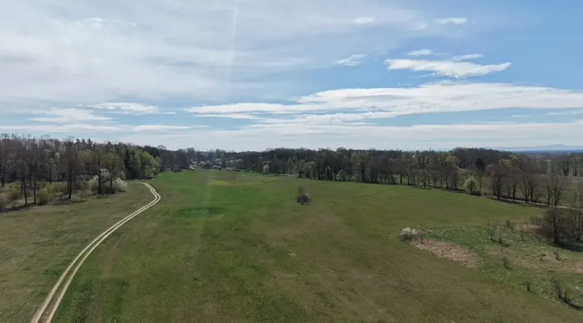 Prodej lesa, Chlum u Třeboně - Žíteč, 379696 m2