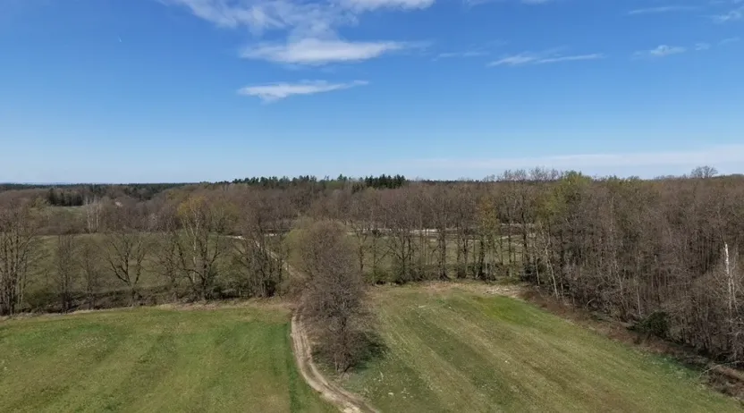 Prodej lesa, Chlum u Třeboně - Žíteč, 379696 m2