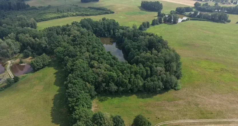 Prodej lesa, Chlum u Třeboně - Žíteč, 360000 m2