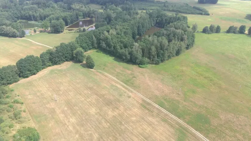 Prodej lesa, Chlum u Třeboně - Žíteč, 360000 m2