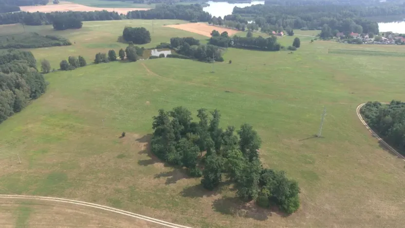Prodej lesa, Chlum u Třeboně - Žíteč, 360000 m2