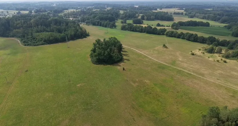 Prodej lesa, Chlum u Třeboně - Žíteč, 360000 m2