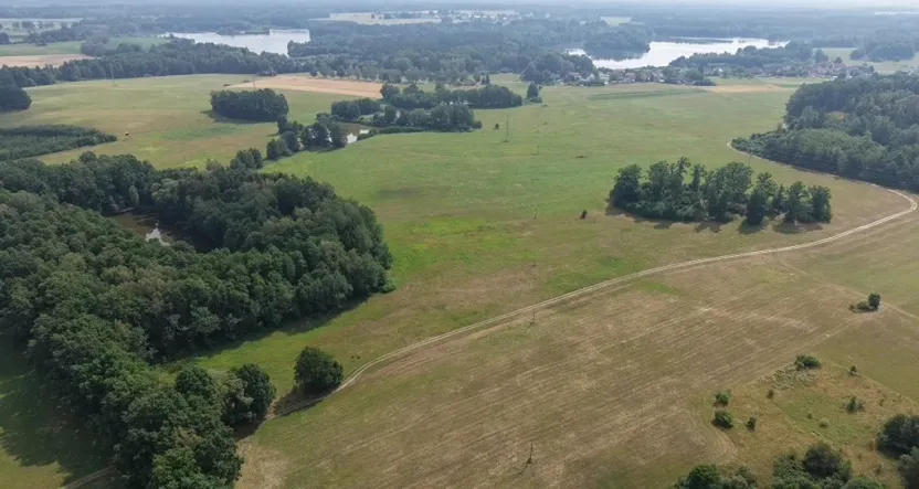 Prodej lesa, Chlum u Třeboně - Žíteč, 360000 m2
