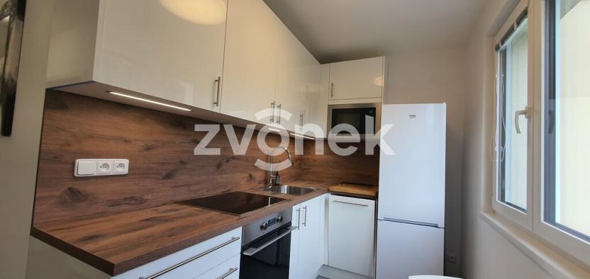 Pronájem bytu 1+1, Zlín - Malenovice, Husova, 32 m2