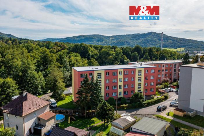 Prodej bytu 2+1, Děčín, Kamenická, 53 m2