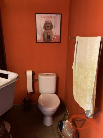 Prodej vícegeneračního domu, Čelechovice na Hané, 438 m2