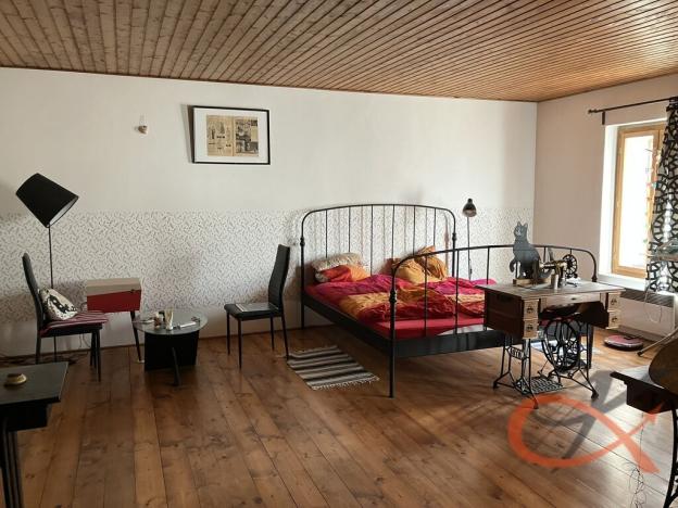 Prodej vícegeneračního domu, Čelechovice na Hané, 438 m2