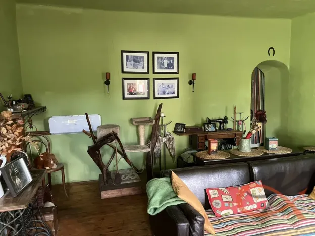 Prodej vícegeneračního domu, Čelechovice na Hané, 438 m2