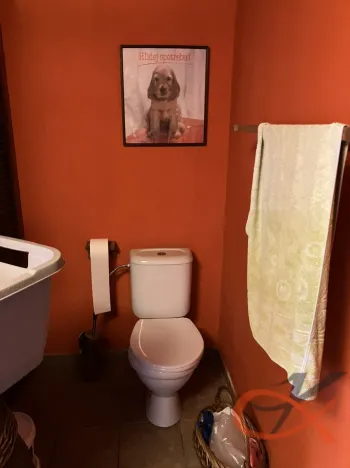 Prodej vícegeneračního domu, Čelechovice na Hané, 438 m2