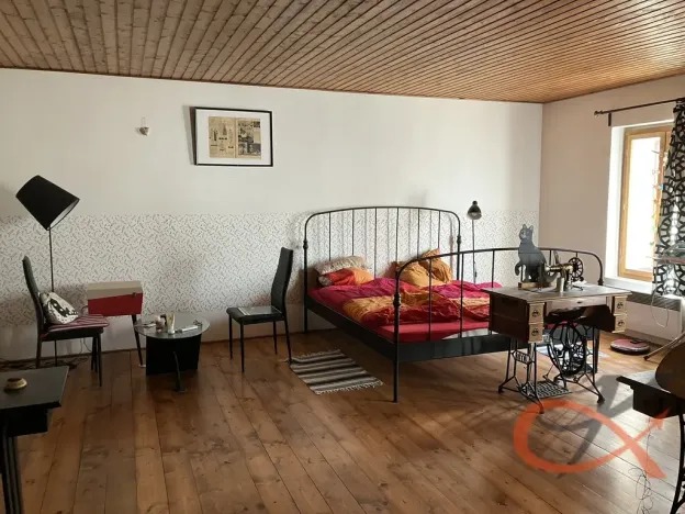 Prodej vícegeneračního domu, Čelechovice na Hané, 438 m2