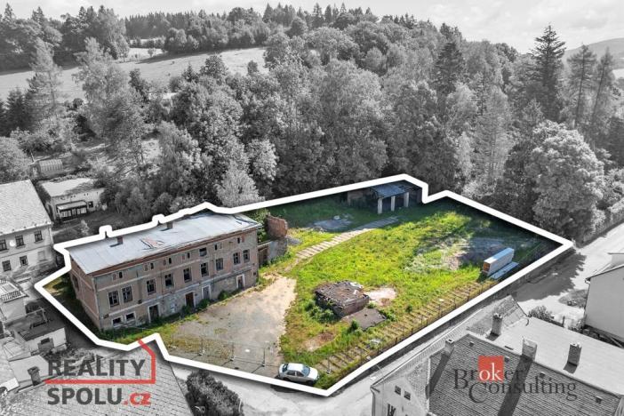 Prodej komerčního pozemku, Olešnice v Orlických horách, 2963 m2