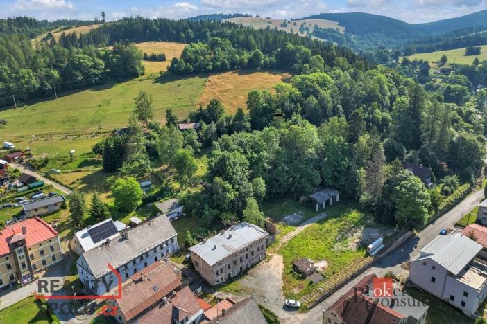 Prodej komerčního pozemku, Olešnice v Orlických horách, 2963 m2