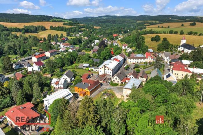 Prodej komerčního pozemku, Olešnice v Orlických horách, 2963 m2