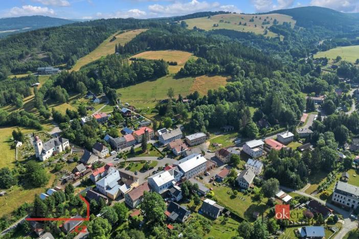 Prodej komerčního pozemku, Olešnice v Orlických horách, 2963 m2