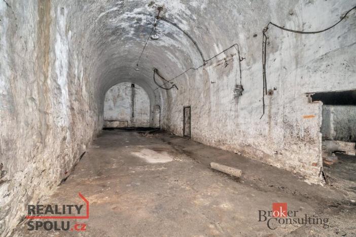 Prodej komerčního pozemku, Olešnice v Orlických horách, 2963 m2