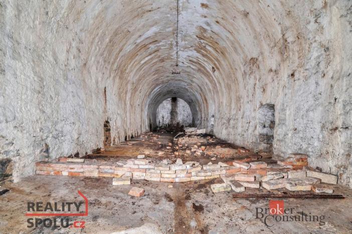 Prodej komerčního pozemku, Olešnice v Orlických horách, 2963 m2