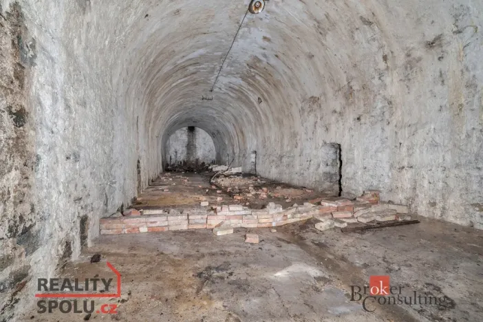 Prodej komerčního pozemku, Olešnice v Orlických horách, 2963 m2