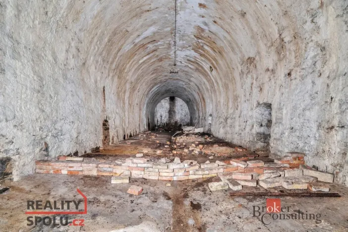 Prodej komerčního pozemku, Olešnice v Orlických horách, 2963 m2