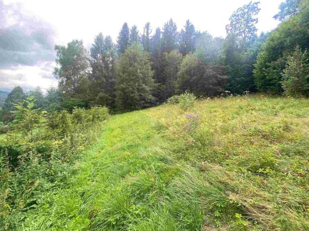 Prodej pozemku, Mladkov, 1004 m2