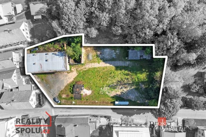 Prodej pozemku pro bydlení, Olešnice v Orlických horách, 2963 m2