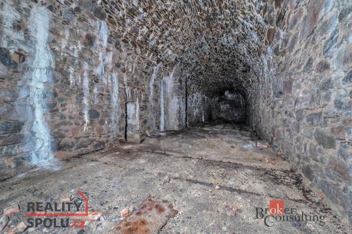 Prodej pozemku pro bydlení, Olešnice v Orlických horách, 2963 m2