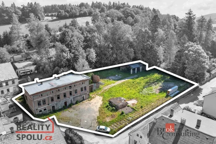 Prodej pozemku pro bydlení, Olešnice v Orlických horách, 2963 m2