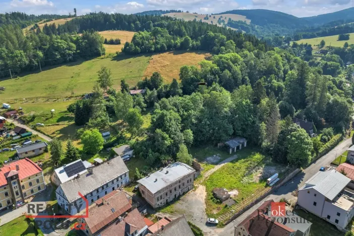 Prodej pozemku pro bydlení, Olešnice v Orlických horách, 2963 m2