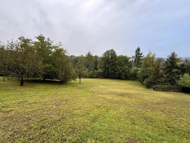 Prodej vícegeneračního domu, Brušperk, Valy, 340 m2