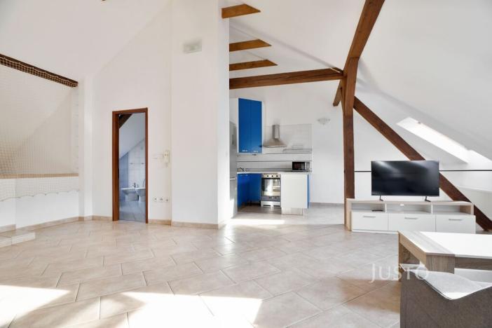 Prodej činžovního domu, Ústí nad Labem - Ústí nad Labem-centrum, Králova výšina, 300 m2