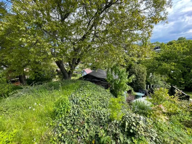 Prodej chaty, Vrchlabí, 12 m2