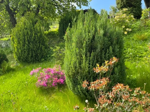 Prodej chaty, Vrchlabí, 12 m2