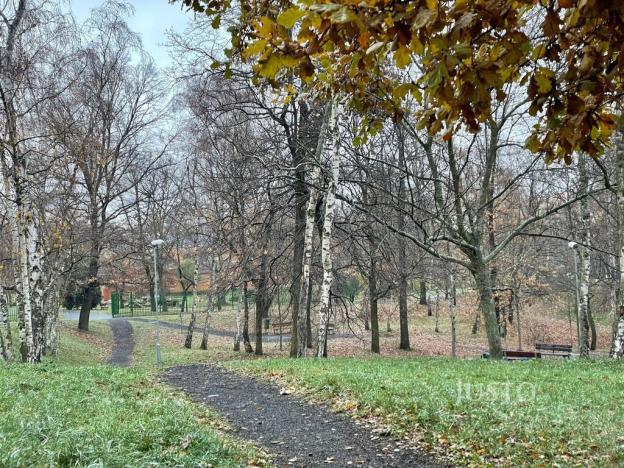 Pronájem bytu 2+1, Chomutov, Písečná, 63 m2