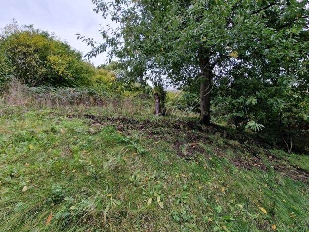 Dražba rodinného domu, Ústí nad Labem - Svádov, Stezka, 130 m2