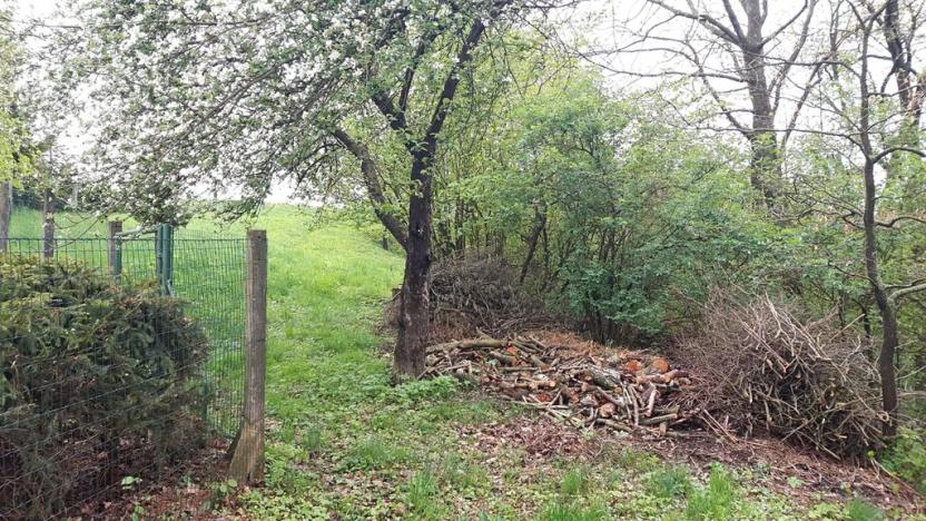 Prodej zahrady, Rohle, 1514 m2