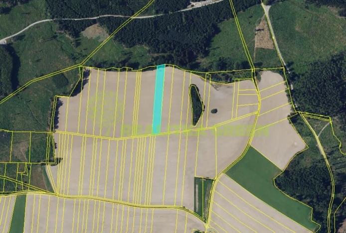 Prodej podílu pole, Doubravice nad Svitavou, 2937 m2