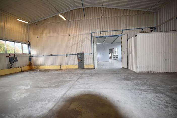 Pronájem výrobních prostor, Česká Ves, Polská, 2190 m2