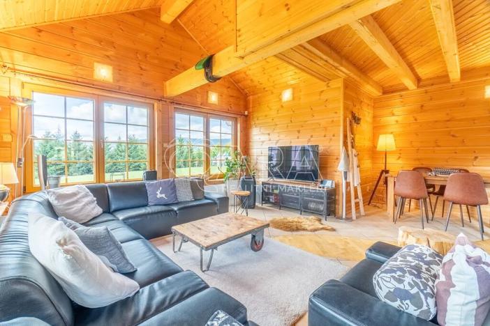 Prodej ubytování, Loučná pod Klínovcem, 195 m2